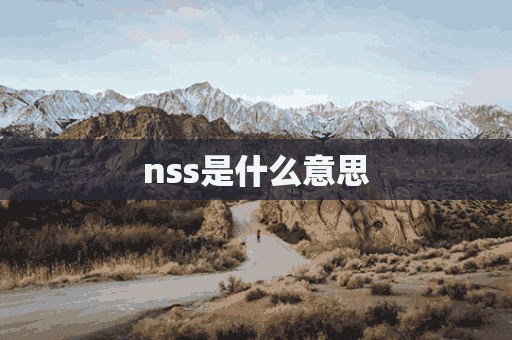 nss是什么意思(nass是什么意思)